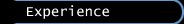 Experience