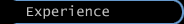 Experience