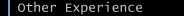 Other Experience